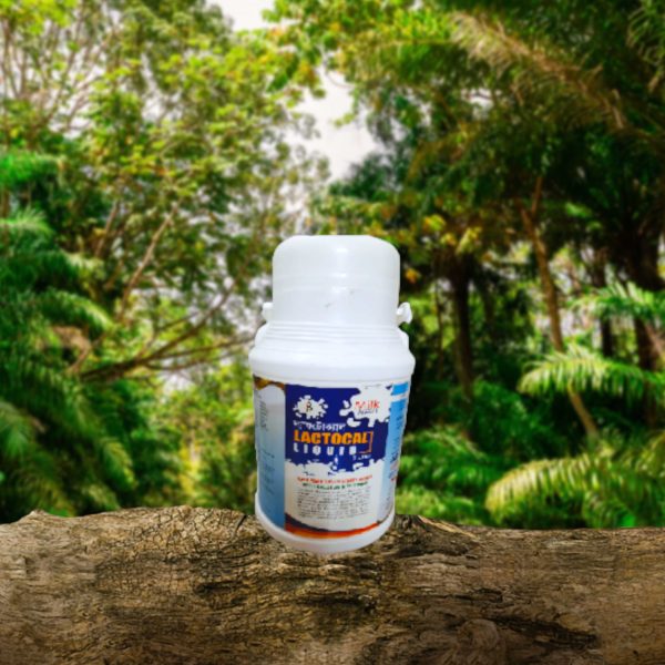 Ag Lactocal (100 ML)