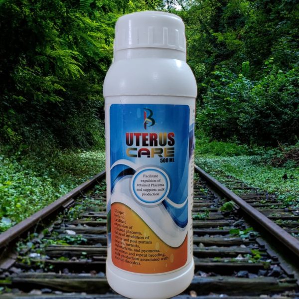 Placenta Clean (500ML)