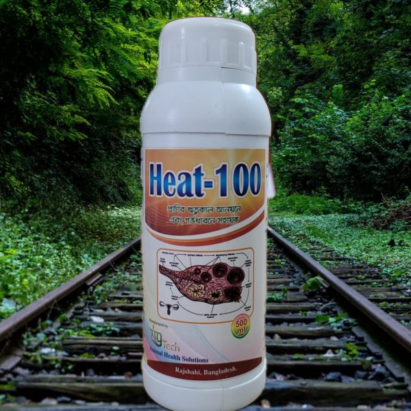 HEAT-100 (500ML)